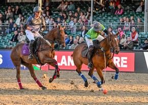 Великобритания поздравила Азербайджан с успехом на Виндзорском конном шоу