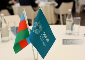 Израиль рассматривает COP29 как возможность расширения климатического сотрудничества с Азербайджаном
