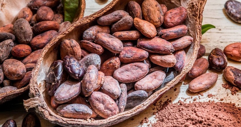 На товарных биржах зафиксировали существенное падение цен на какао-бобы