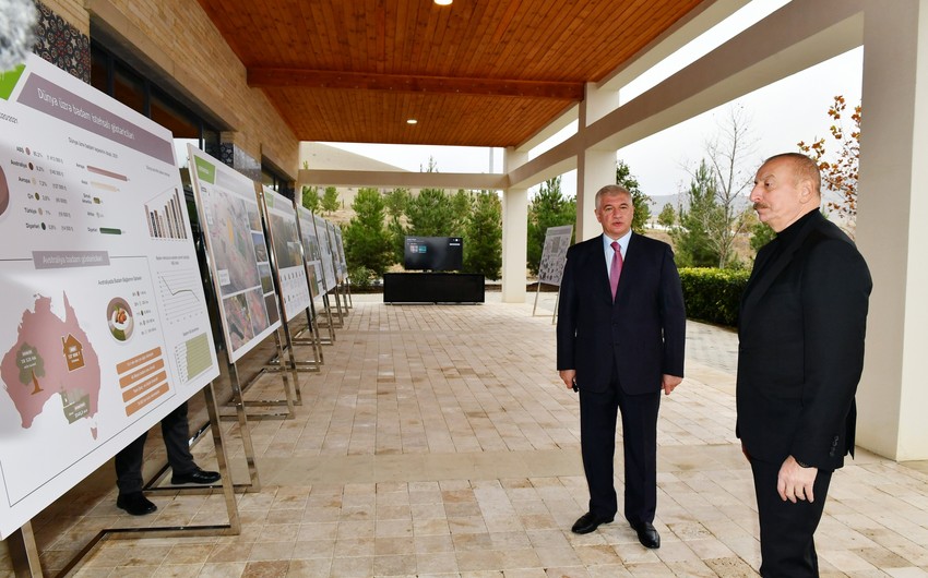 Президент Ильхам Алиев ознакомился с условиями, созданными в агропарке Шеки-Огуз