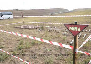 ANAMA: В мае на освобожденных территориях обезврежены 825 мин