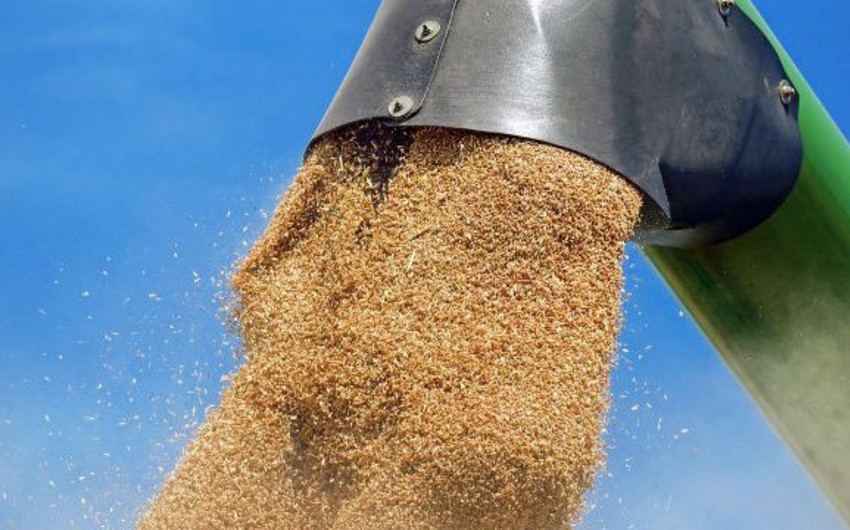 EU exports 5.8 million tons of grain from Ukraine