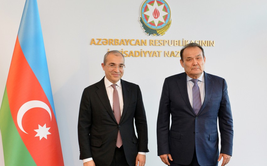 Министр: Партнерство Азербайджана со странами-членами Организации тюркских государств расширяется
