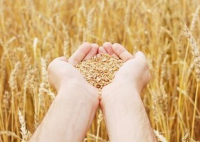 Яшар Гюлер: Зерновая сделка важна для продбезопаности 