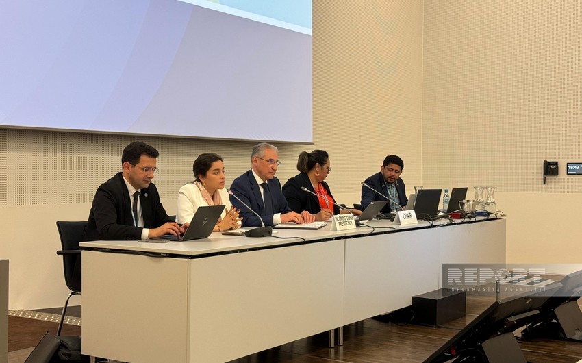 COP29 President-designate meets with representatives of AOSIS