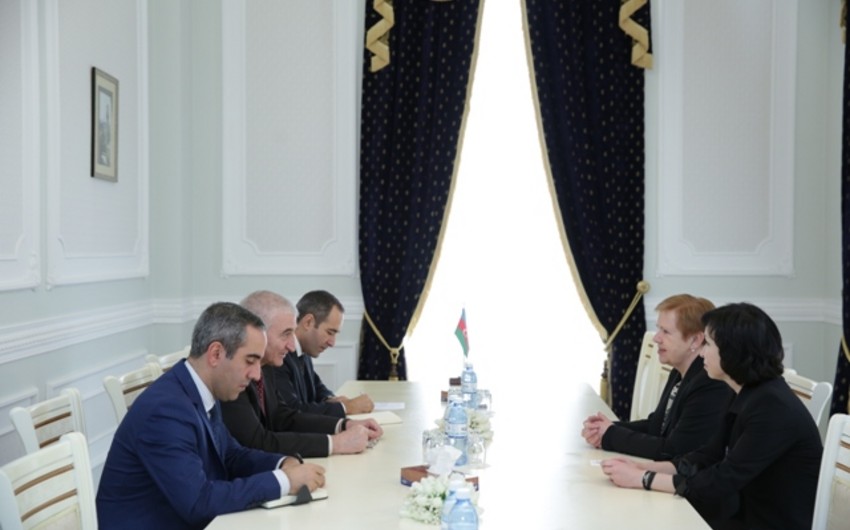 Azerbaijani chief electoral officer meets Lithuanian delegation