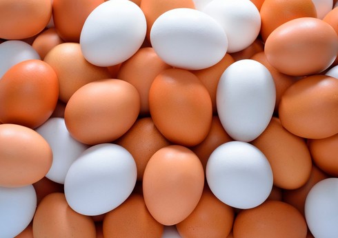 Азербайджан за первое полугодие 2024 года экспортировал в РФ 46,5 млн яиц