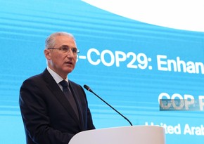 Mukhtar Babayev: Azerbaijan to seek to eliminate climate change issues