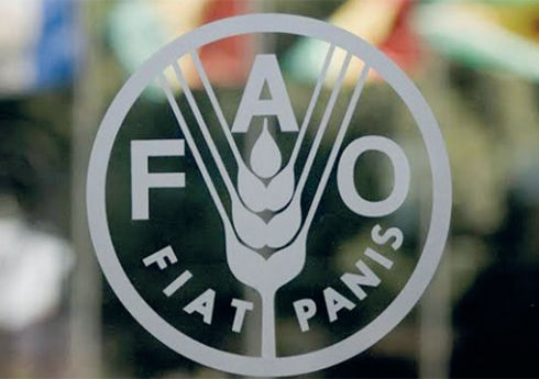 ФАО поддержит кооперацию в аграрной сфере Азербайджана