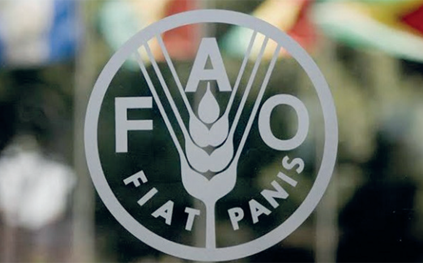 ФАО поддержит кооперацию в аграрной сфере Азербайджана