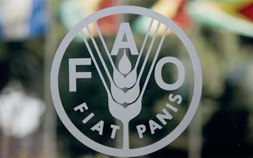 FAO to support expansion of cooperation in Azerbaijan's agricultural sector