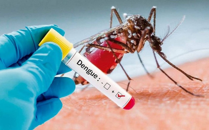Власти Фиджи зафиксировали более 200 случаев заражения лихорадкой денге