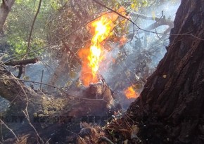 Fire breaks out in forest expanses in Khudat