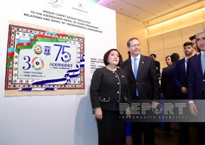Sahibə Qafarova: “İsrail şirkətləri Qarabağda və Şərqi Zəngəzurda yenidənqurma işlərində iştirak edir”
