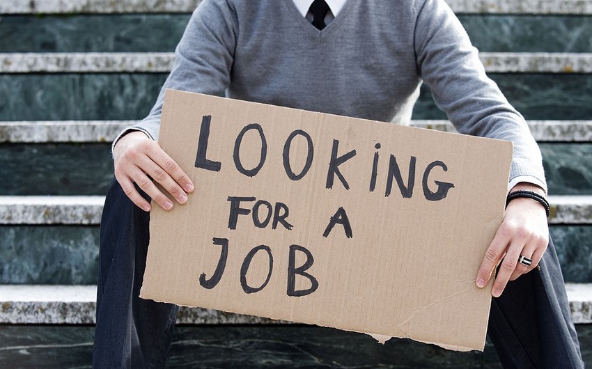 Стало известно количество лиц, получивших официальный статус безработного