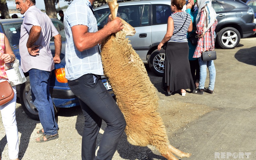 В Баку проходит ярмарка по продаже жертвенных животных