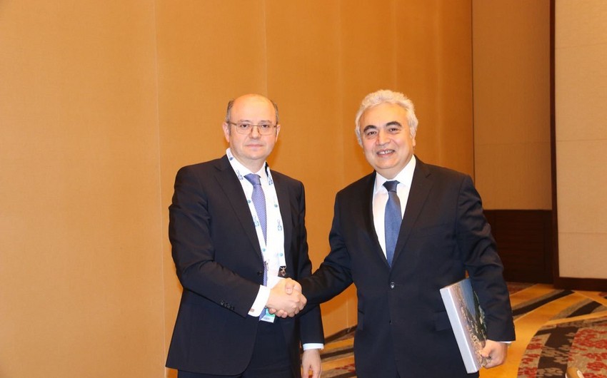 В Вашингтоне рассмотрены перспективы сотрудничества между Азербайджаном и Международным энергоагентством