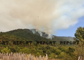 Площадь пожара в Загатале достигла 12 гектаров