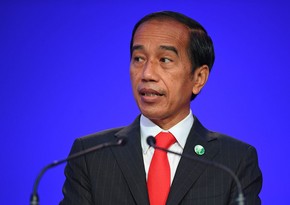 Президент Индонезии примет участие в саммите БРИКС в ЮАР