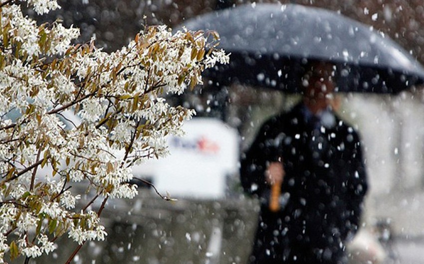 Ecologists predict cold weather, rain and sleet on January 20