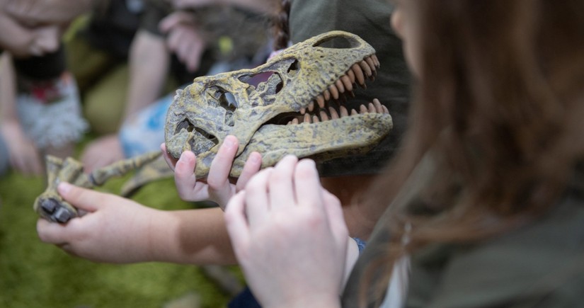 Argentinada yeni dinozavr növünün qalıqları tapılıb