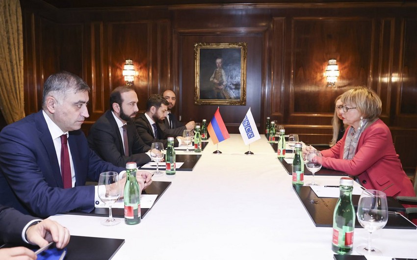 Мирзоян обсудил с генсеком ОБСЕ нормализацию отношений с Баку и Анкарой