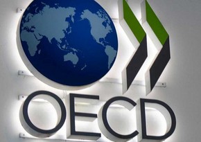 Казахстан готовит заявку на членство в ОЭСР