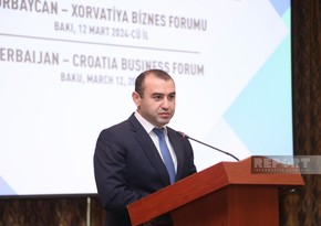 Azerbaijan invites Croatian companies to operate in Karabakh