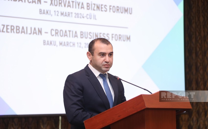Замминистра: Хорватские компании приглашены к участию в проектах, реализуемых в Карабахе