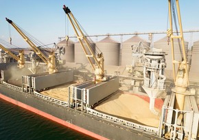 Polish authorities dissatisfied with Ukraine's position on grain imports