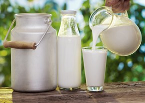 Purchase price of milk in Azerbaijan higher than European countries