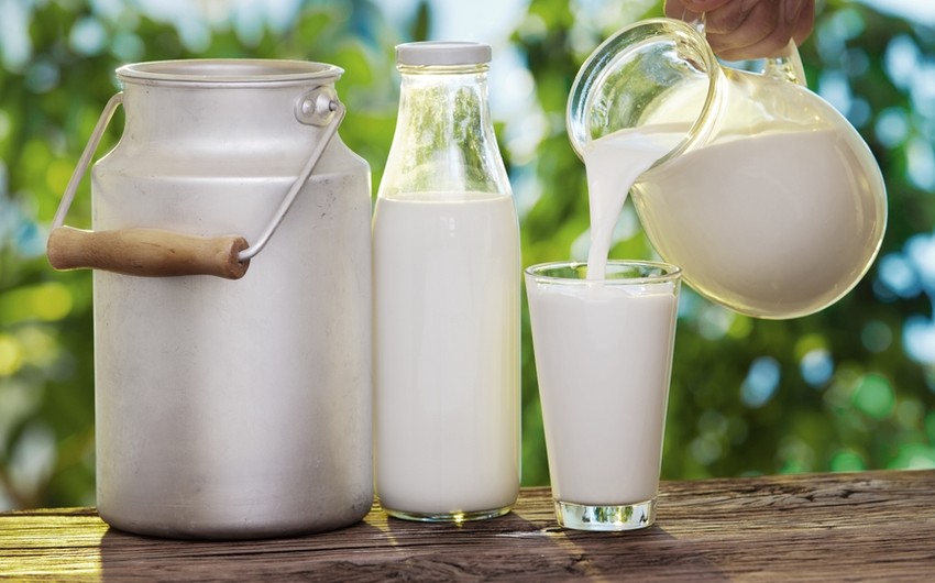 Purchase price of milk in Azerbaijan higher than European countries