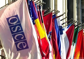 Лондон отказал российской делегации в визах для участия в сессии ПА ОБСЕ