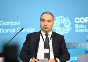 Habib Mikayilli: COP29 to have significant impact on combating climate change