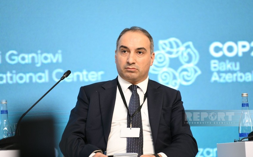 Habib Mikayilli: COP29 to have significant impact on combating climate change