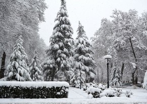 В Исмаиллы высота снежного покрова достигла 30 см