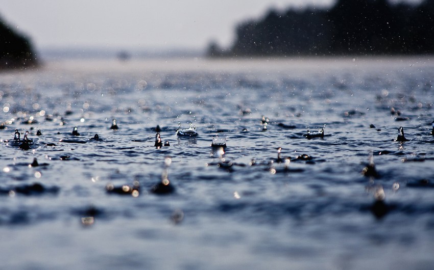 Rain is expected in some regions of Azerbaijan on May 11