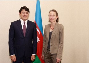 Chairman of Diaspora Committee met with Swiss ambassador to Azerbaijan