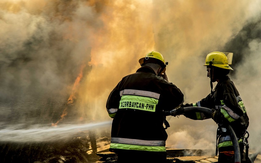 Forest fire in Goranboy after artillery strikes by Armenian forces extinguished