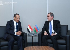 FMs of Azerbaijan, Egypt mull bilateral co-op