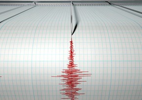 Magnitude 4.1 quake shakes Turkey
