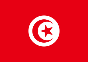 Силы безопасности Туниса ворвались в офис телеканала Al Jazeera