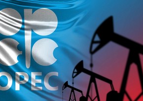 OPEC calculates average daily oil production in Azerbaijan in July