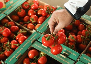 Russia announces terms of tomato import from Turkey