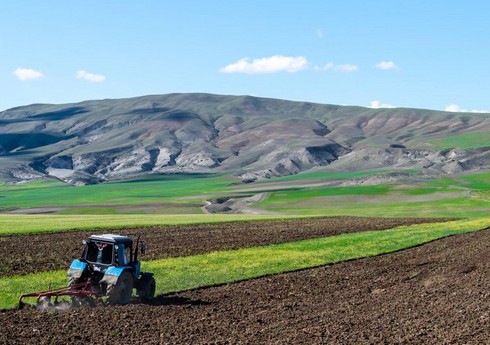 В Азербайджане в первом полугодии выявлено более 3 тысяч случаев незаконного использования земель