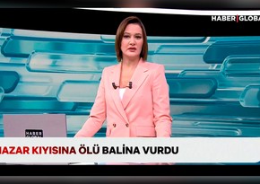 “Haber Global” COP29-da: Türkiyə iqlim gündəmini müəyyən edir və fəaliyyətə çağırır