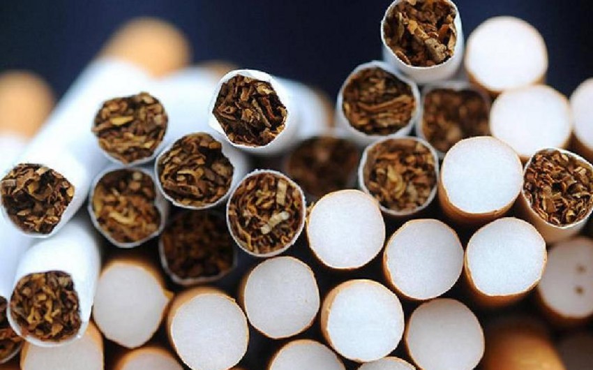 Azərbaycan tütün ixracını 63% artırıb