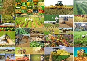 Azerbaijan to host Ministerial Meeting on Agriculture of ECO Member States