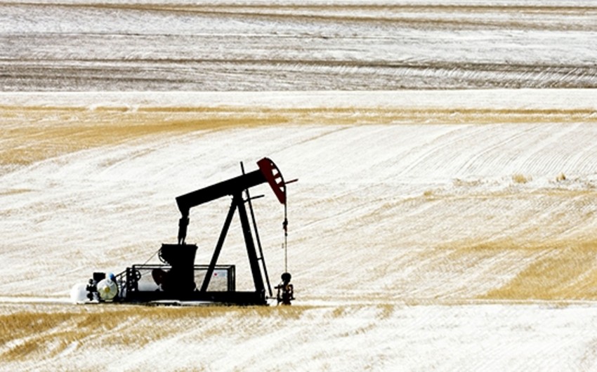 Стоимость нефти марки Brent упала до $55,81 за баррель