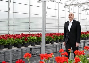 Ильхам Алиев ознакомился со строительством Экологического паркового комплекса в Гяндже